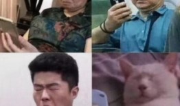 博君一肖完整版免费吃瓜,免费吃瓜，揭秘明星甜蜜互动幕后故事